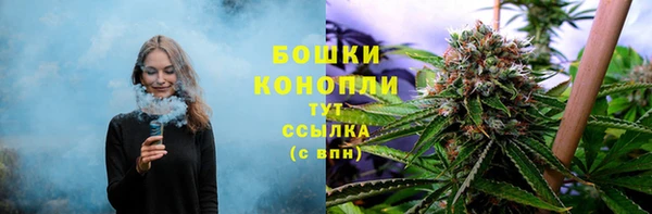 ПСИЛОЦИБИНОВЫЕ ГРИБЫ Костерёво