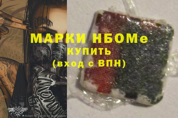 СК Коряжма