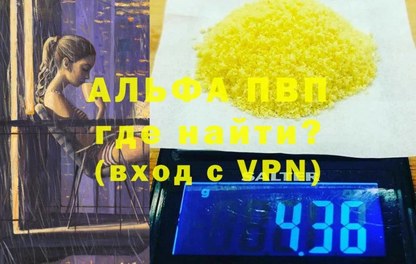 СК Коряжма