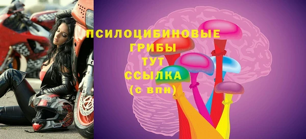 СК Коряжма
