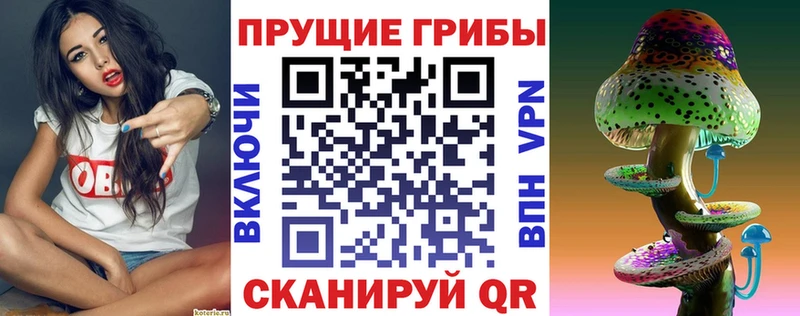 Галлюциногенные грибы Psilocybe Краснокамск