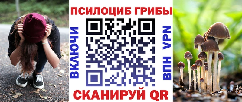 Галлюциногенные грибы Psilocybe Краснокамск