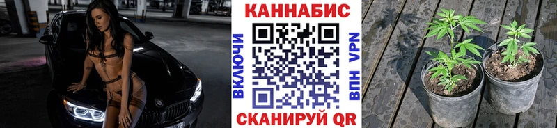 mega вход  Краснокамск  Марихуана конопля 